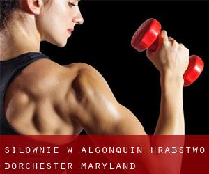 siłownie w Algonquin (Hrabstwo Dorchester, Maryland)