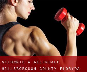 siłownie w Allendale (Hillsborough County, Floryda)