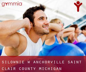 siłownie w Anchorville (Saint Clair County, Michigan)