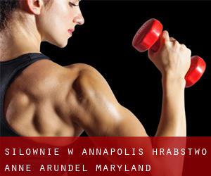 siłownie w Annapolis (Hrabstwo Anne Arundel, Maryland)
