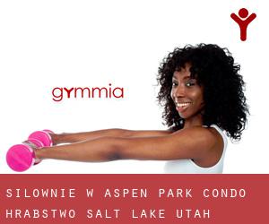siłownie w Aspen Park Condo (Hrabstwo Salt Lake, Utah)