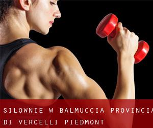 siłownie w Balmuccia (Provincia di Vercelli, Piedmont)