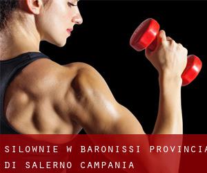 siłownie w Baronissi (Provincia di Salerno, Campania)