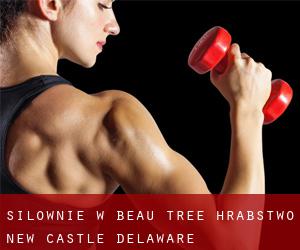 siłownie w Beau Tree (Hrabstwo New Castle, Delaware)