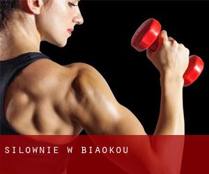 siłownie w Biaokou siłownie w Biaokou