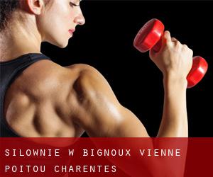 siłownie w Bignoux (Vienne, Poitou-Charentes)