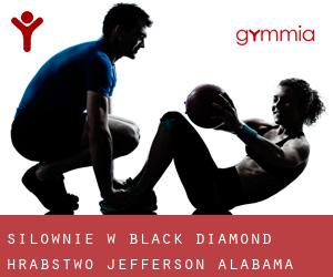 siłownie w Black Diamond (Hrabstwo Jefferson, Alabama)