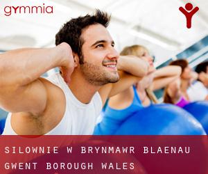 siłownie w Brynmawr (Blaenau Gwent (Borough), Wales)