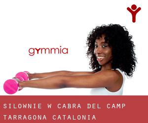 siłownie w Cabra del Camp (Tarragona, Catalonia)