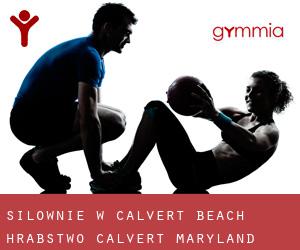 siłownie w Calvert Beach (Hrabstwo Calvert, Maryland)