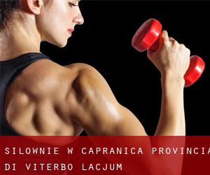siłownie w Capranica (Provincia di Viterbo, Lacjum)