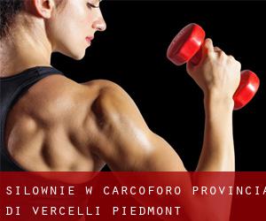 siłownie w Carcoforo (Provincia di Vercelli, Piedmont)
