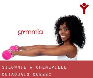 siłownie w Chénéville (Outaouais, Quebec)