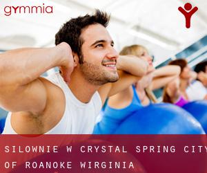 siłownie w Crystal Spring (City of Roanoke, Wirginia)