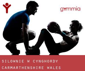 siłownie w Cynghordy (Carmarthenshire, Wales)