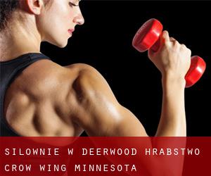 siłownie w Deerwood (Hrabstwo Crow Wing, Minnesota)