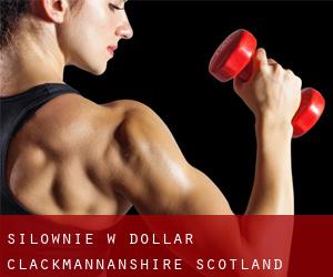 siłownie w Dollar (Clackmannanshire, Scotland)