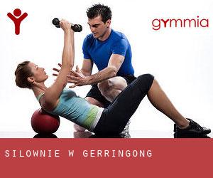 siłownie w Gerringong siłownie w Gerringong