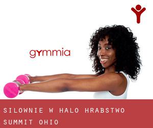 siłownie w Halo (Hrabstwo Summit, Ohio)