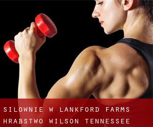 siłownie w Lankford Farms (Hrabstwo Wilson, Tennessee)