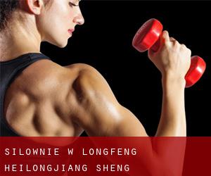 siłownie w Longfeng (Heilongjiang Sheng)
