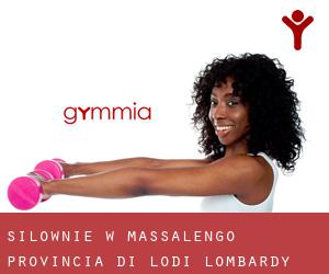 siłownie w Massalengo (Provincia di Lodi, Lombardy)