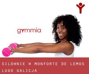 siłownie w Monforte de Lemos (Lugo, Galicja)