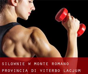 siłownie w Monte Romano (Provincia di Viterbo, Lacjum)