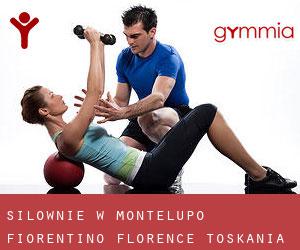 siłownie w Montelupo Fiorentino (Florence, Toskania)