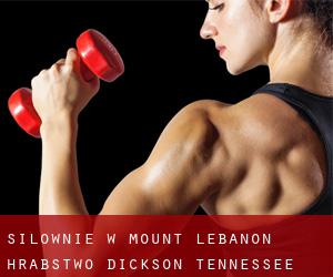 siłownie w Mount Lebanon (Hrabstwo Dickson, Tennessee)