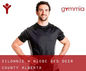 siłownie w Niobe (Red Deer County, Alberta)