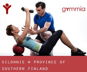 siłownie w Province of Southern Finland