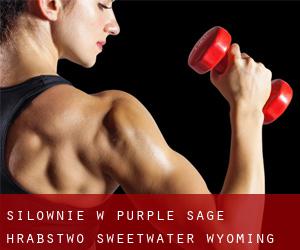 siłownie w Purple Sage (Hrabstwo Sweetwater, Wyoming)