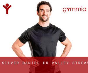 Silver Daniel Dr (Valley Stream)