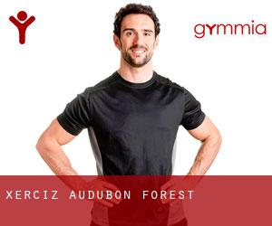 Xerciz (Audubon Forest)
